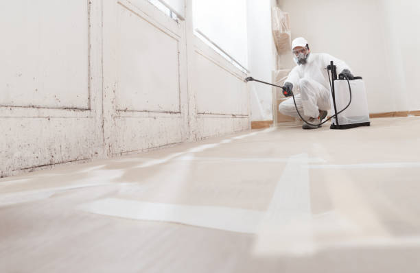 24/7 Emergency Bathroom Mold Removal experts in Fountain, CO